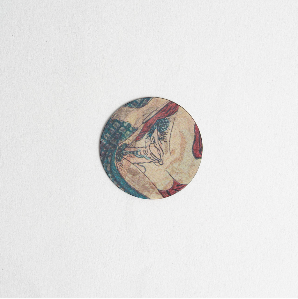 “Lenticular Magnet (Set of 2)”