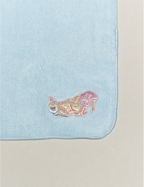Handkerchief
