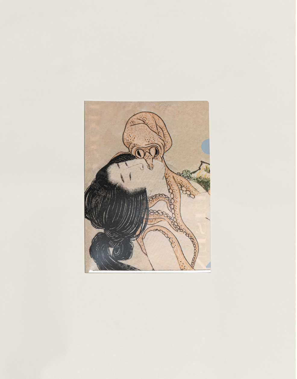 Exhibition Catalogue Cards Set of 50 – 歌舞伎町インフォメーション