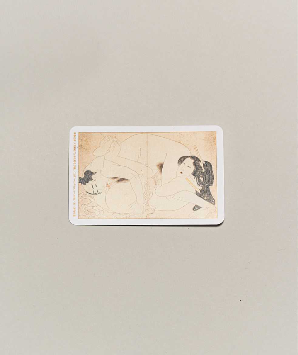 Exhibition Catalogue Cards Set of 100