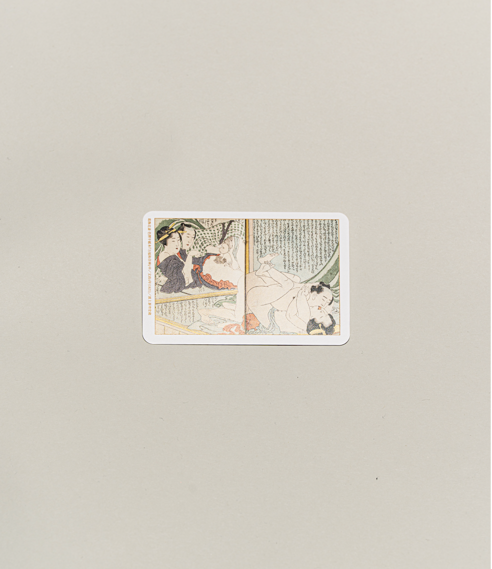 Exhibition Catalogue Cards Set of 100