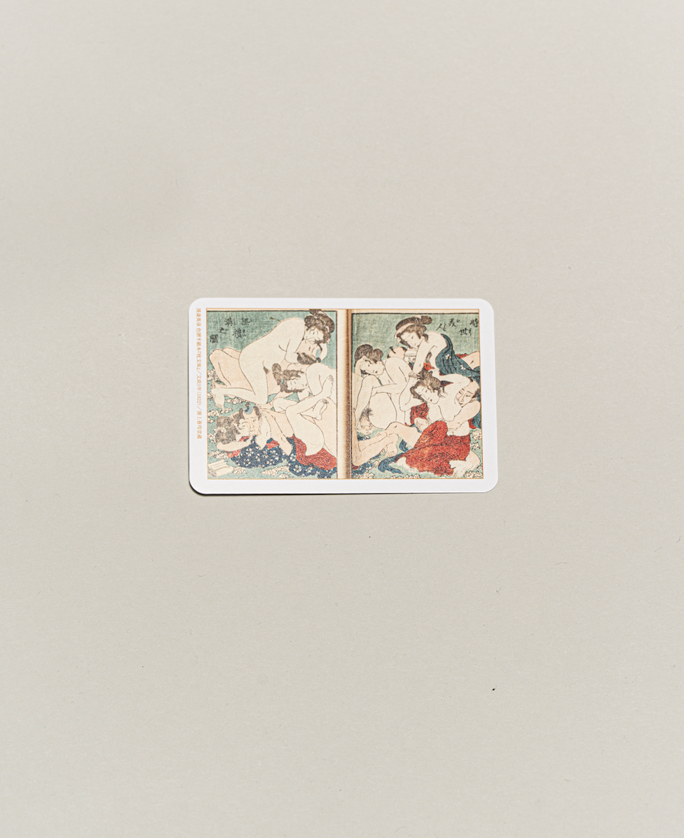 Exhibition Catalogue Cards Set of 100