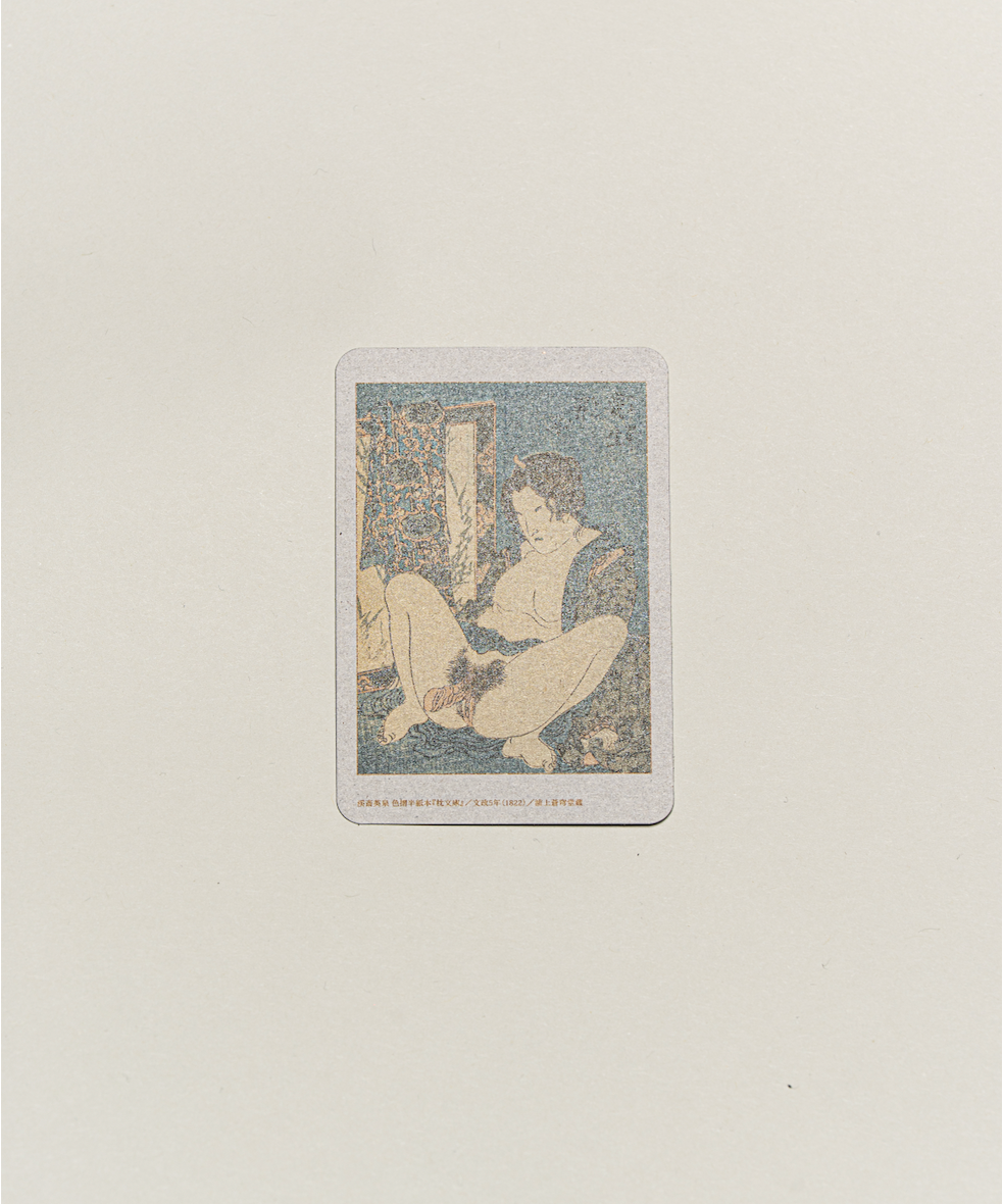 Exhibition Catalogue Cards Set of 100