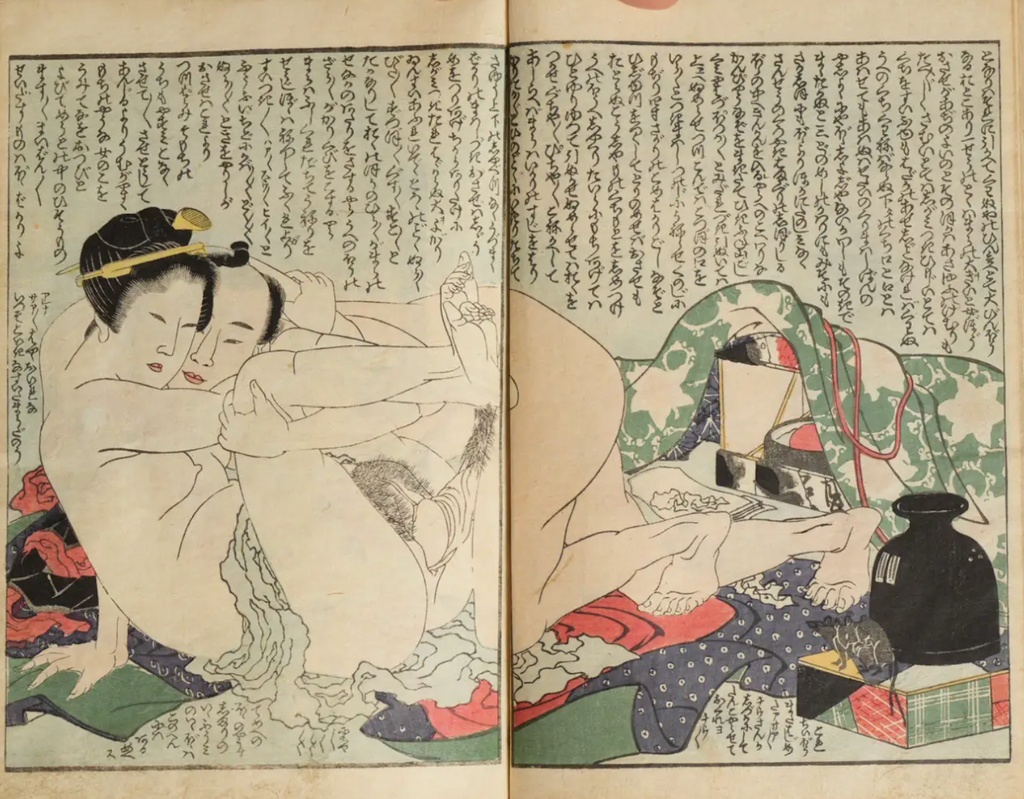 SHUNGA POUCH
