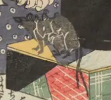 SHUNGA POUCH