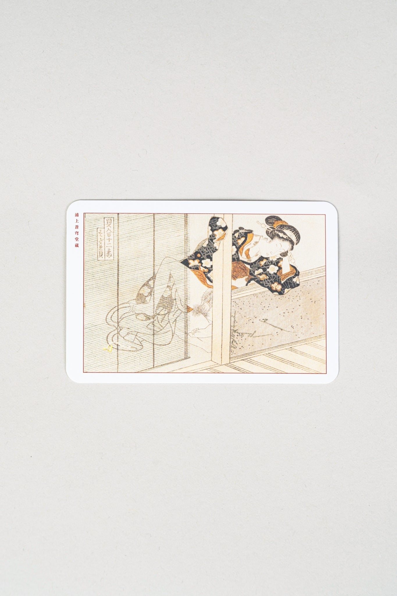 Exhibition Catalogue Cards Set of 50